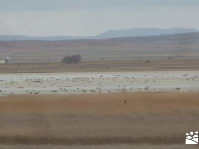 Hoces y cañones del Río Piedra y del Río Gallo -- Laguna Gallocanta - Grullas en Gallocanta;activ